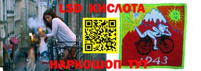 гидра Заволжье