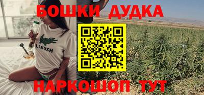 гидра Заволжье