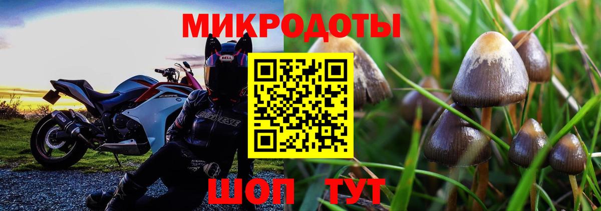 купить   Галлюциногенные грибы GOLDEN TEACHER  Вход с VPN  Черногорск  Галлюциногенные грибы MAGIC MUSHROOMS 